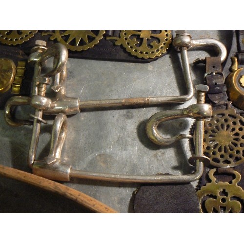 394 - LAST HORSE BRASS LOT. Good mixed lot including plumes, 8 X martingale & display straps with some goo... 