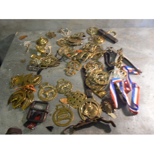 394 - LAST HORSE BRASS LOT. Good mixed lot including plumes, 8 X martingale & display straps with some goo... 