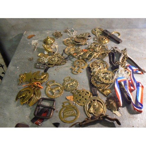 394 - LAST HORSE BRASS LOT. Good mixed lot including plumes, 8 X martingale & display straps with some goo... 