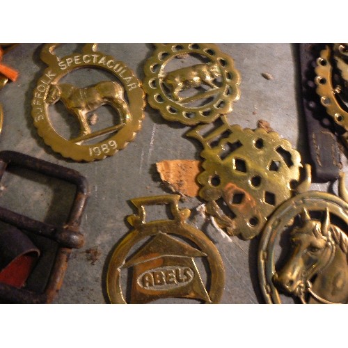 394 - LAST HORSE BRASS LOT. Good mixed lot including plumes, 8 X martingale & display straps with some goo... 