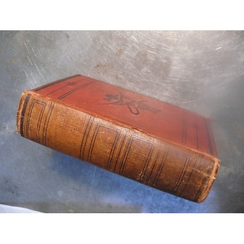 260 - Scarce 19th Century book 