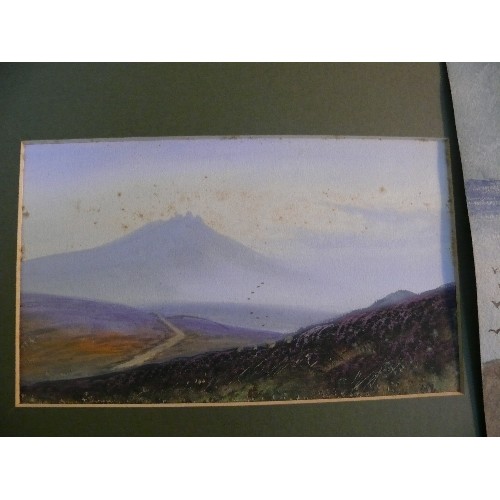 185 - 21 unframed watercolours and paintings from the 19th & early 20th Centuries. Includes a portrait of ... 