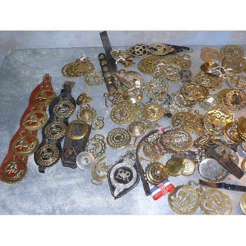 389 - Large quantity (over 70) of single horse brasses in a crate. Victorian & 20th Century. Good bull bra... 