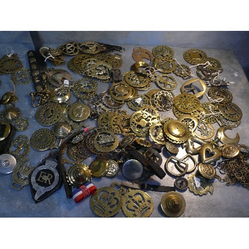 389 - Large quantity (over 70) of single horse brasses in a crate. Victorian & 20th Century. Good bull bra... 