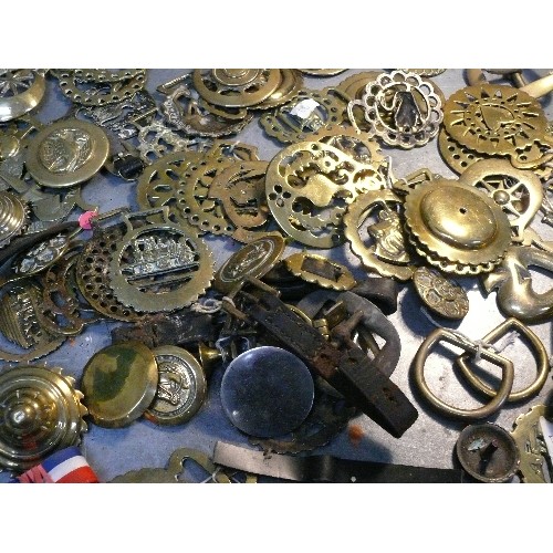 389 - Large quantity (over 70) of single horse brasses in a crate. Victorian & 20th Century. Good bull bra... 