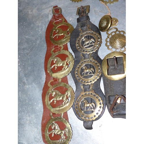 389 - Large quantity (over 70) of single horse brasses in a crate. Victorian & 20th Century. Good bull bra... 