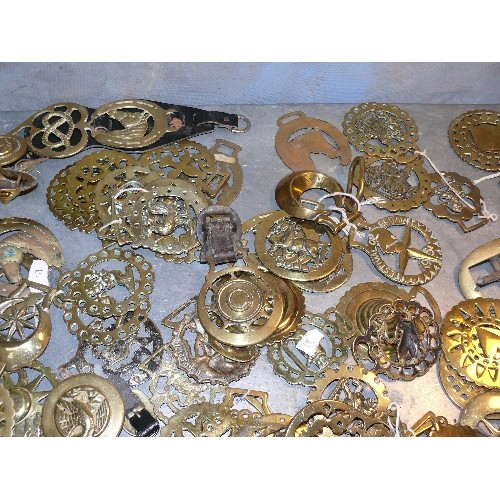 389 - Large quantity (over 70) of single horse brasses in a crate. Victorian & 20th Century. Good bull bra... 