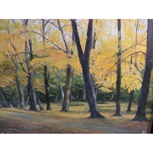 173 - Oil Painting on board of New Forest Hampshire in Autumn, signed with artists monogram 