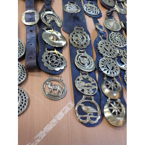 383 - Box of 20 martingale and display straps with mostly older horse brasses, 19th century and early 20th... 