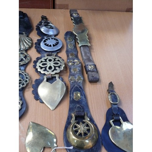 384 - Good selection of some unusual antique brasses, on straps and singles. Includes large stamped shell,... 