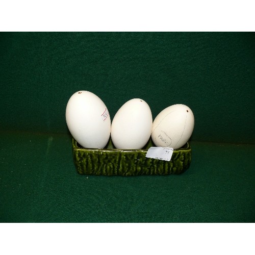 75 - THREE BLOWN GOOSE EGGS IN CERAMIC PLANTER.