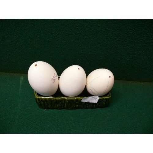 75 - THREE BLOWN GOOSE EGGS IN CERAMIC PLANTER.