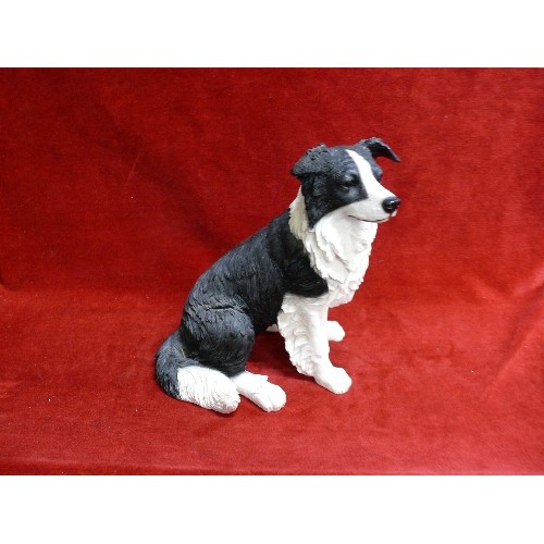 90 - LARGE FIGURE OF A BORDER COLLIE BY LEONARDO DOG STUDIES.