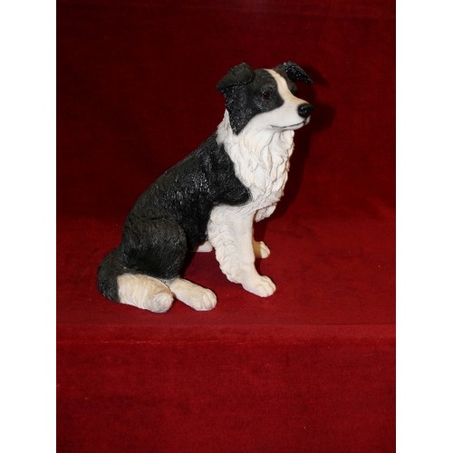 91 - LARGE FIGURE OF A BORDER COLLIE BY LEONARDO DOG STUDIES.