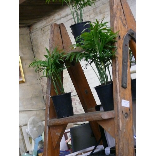 291 - SMALL VINTAGE WOODEN STEP PLANT STAND WITH PLANTS.