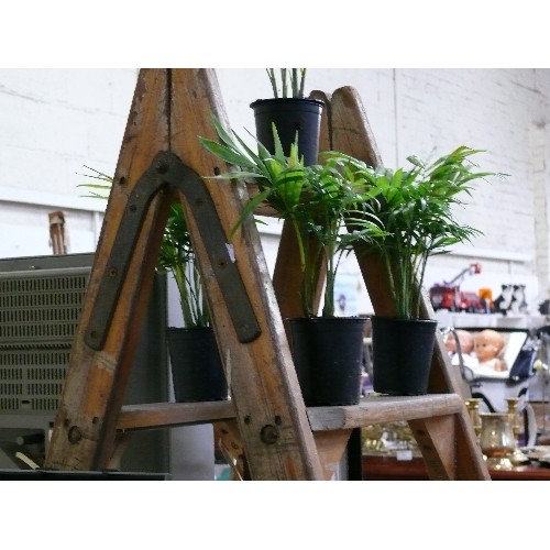 291 - SMALL VINTAGE WOODEN STEP PLANT STAND WITH PLANTS.