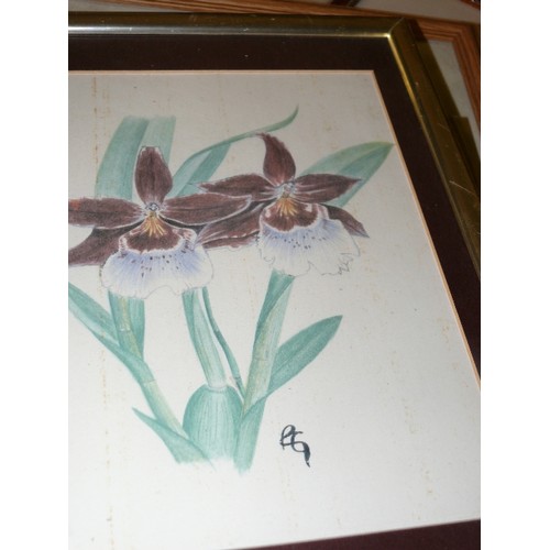 435 - SELECTION OF FLORAL WATERCOLOUR ARTWORK.