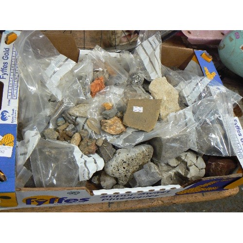 282 - CRATE OF MIXED ROCKS AND FOSSILS