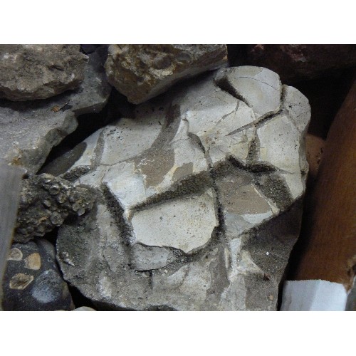 282 - CRATE OF MIXED ROCKS AND FOSSILS