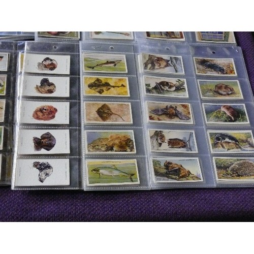 186 - CIGARETTE CARDS - A COLLECTION OF 18 FULL CARD SETS.