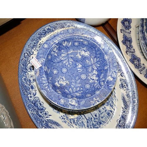 220 - COLLECTION OF VARIOUS BLUE AND WHITE CERAMICS PLATES, JUGS ETC.