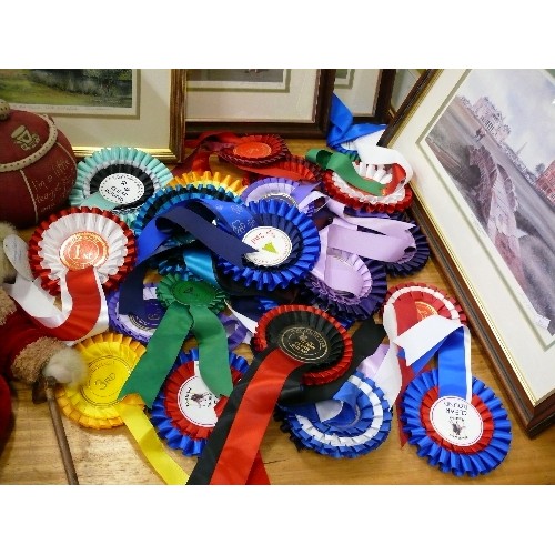 329 - LARGE QUANTITY OF COMPETITION ROSETTES