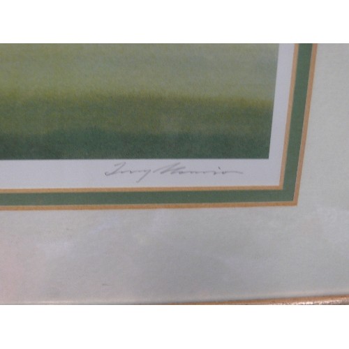 46 - 'THE CRICKET GREEN', A PRINT BY TERRY HARRISON, SIGNED.