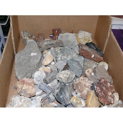 100 - LARGE BOX OF MIXED STONES AND FOSSILS.