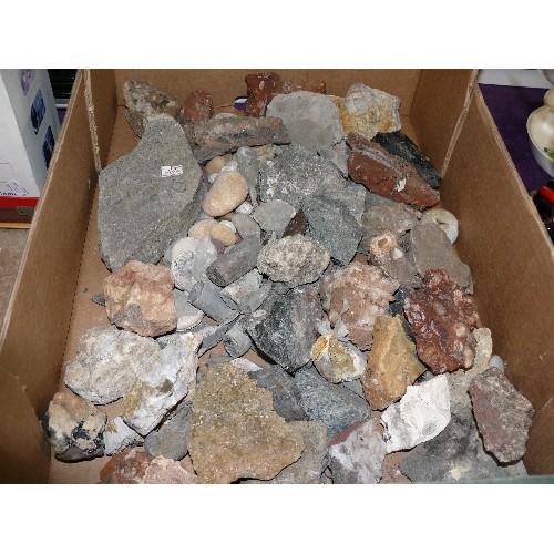 100 - LARGE BOX OF MIXED STONES AND FOSSILS.