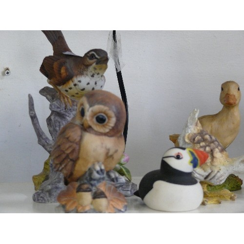 96 - A SELECTION OF BIRD ORNAMENTS TO INCLUDE AN ISLE OF ARRAN PUFFIN AND AN OWL AND A SONG THRUSH, BOTH ... 