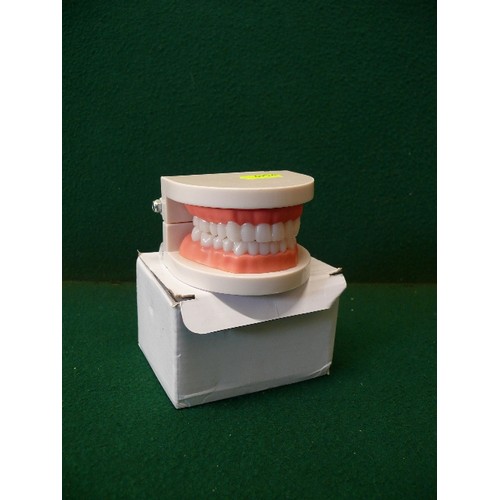 13 - TWO SETS OF MEDICAL TEETH, BOXED.