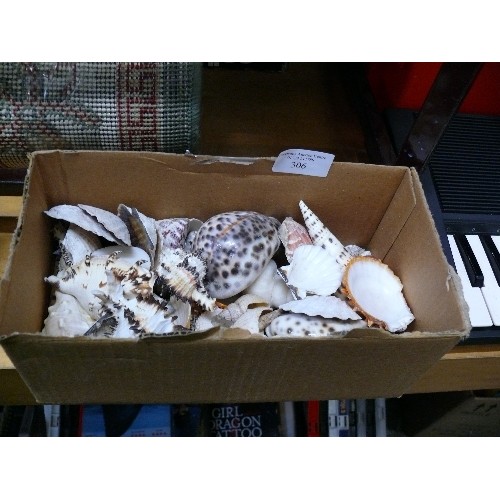 306 - BOX OF DECORATIVE SHELLS