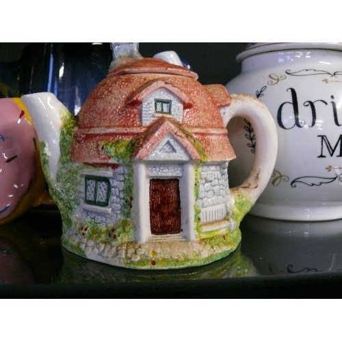 364 - NICE SELECTION OF MIXED AND NOVELTY TEAPOTS.