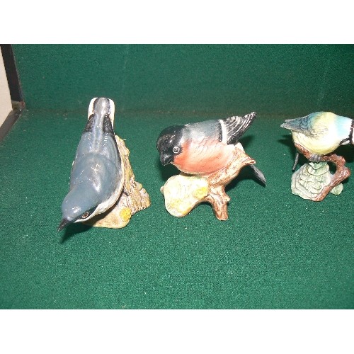 2 - FIVE BESWICK BIRDS TO INCLUDE A BLUE TIT, BULL FINCH, ROBIN ETC.