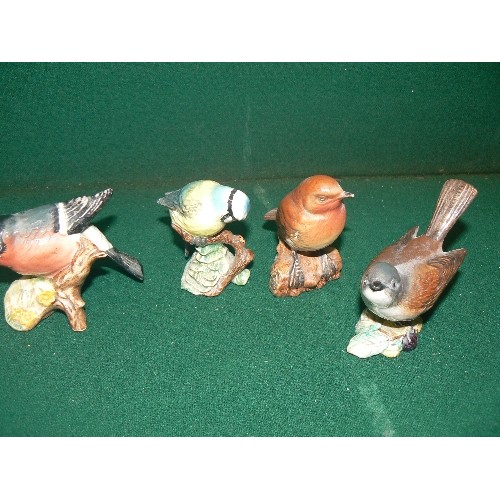 2 - FIVE BESWICK BIRDS TO INCLUDE A BLUE TIT, BULL FINCH, ROBIN ETC.