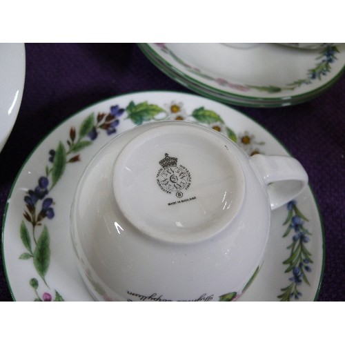 120 - ROYAL WORCESTER TEASET INCLUDING TEAPOT, SUGAR BOWL, LARGE JUG WITH SIX CUPS AND SAUCERS.