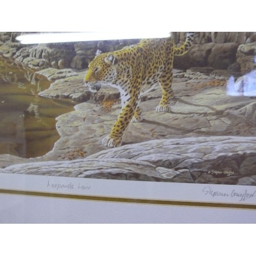 182 - LIMITED EDITION FRAMED AND GLAZED PRINT 'LEOPARDS LAIR' BY STEPHEN GRAYFORD 230/345.