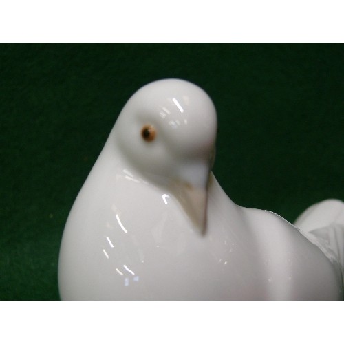 7 - NAO FIGURE OF A WHITE DOVE.