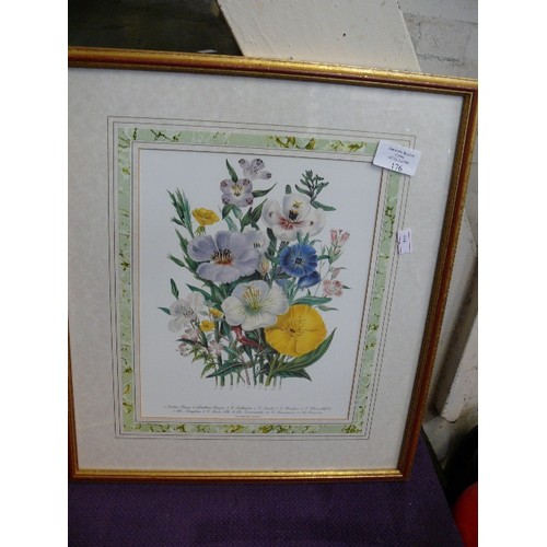 176 - A PAIR OF FRAMED AND GLAZED FLOWER PRINTS.