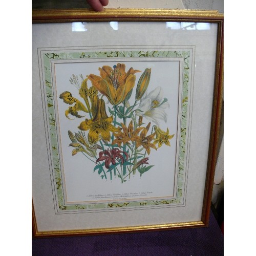 176 - A PAIR OF FRAMED AND GLAZED FLOWER PRINTS.