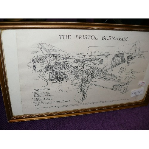 223 - FRAMED AND GLAZED CUT AWAY DRAWING OF A BRISTOL BLENHEIM.