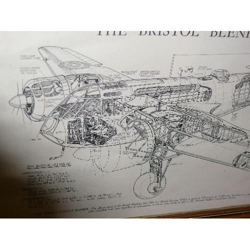 223 - FRAMED AND GLAZED CUT AWAY DRAWING OF A BRISTOL BLENHEIM.