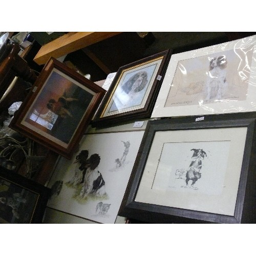 361 - SIX VARIOUS PICTURES OF SPANIELS.