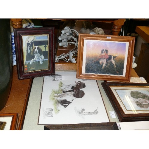 361 - SIX VARIOUS PICTURES OF SPANIELS.