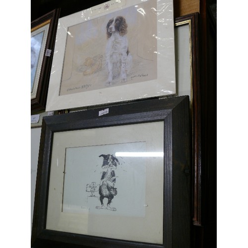 361 - SIX VARIOUS PICTURES OF SPANIELS.