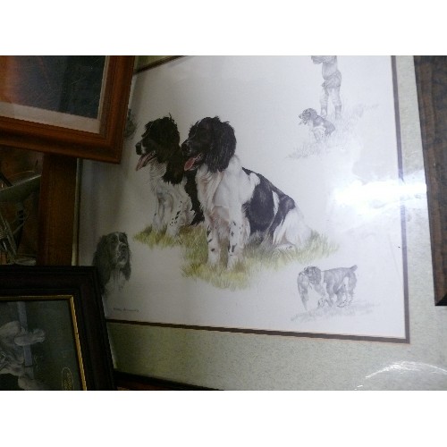 361 - SIX VARIOUS PICTURES OF SPANIELS.