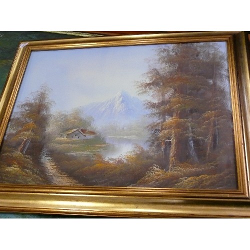 368 - THREE FRAMED OIL PAINTINGS OF WOODLAND SCENES.