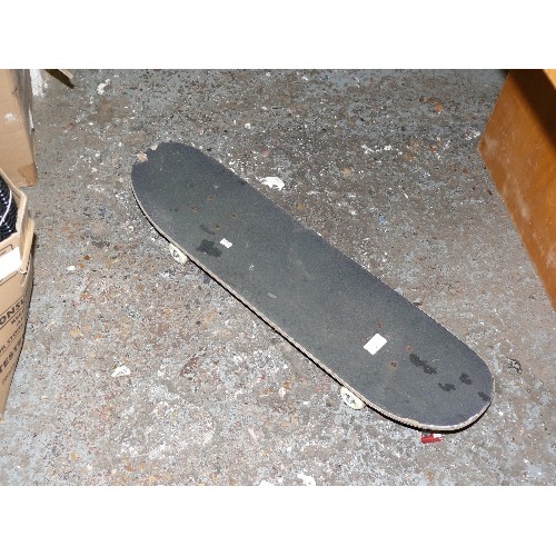 497 - SKATEBOARD