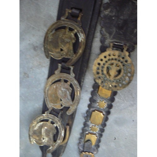 364 - HEAVY DUTY STRAP WITH THREE HORSE AND HORSESHOE BRASSES & A FURTHER VICTORIAN STRAP WITH STUDS AND S... 