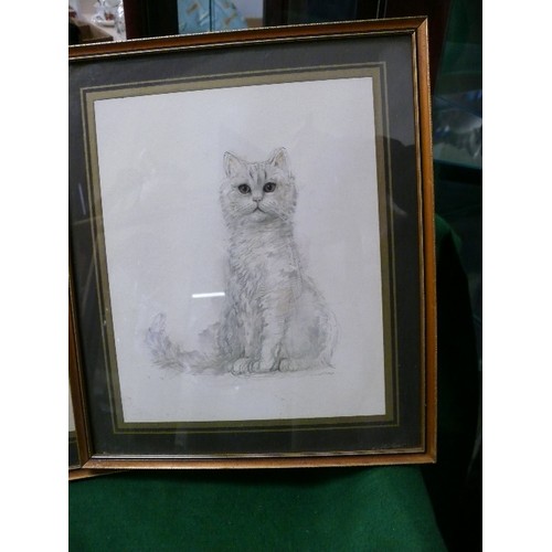 33 - THREE FRAMED PRINTS OF CATS BY DANISH ARTIST MADS STAGE.